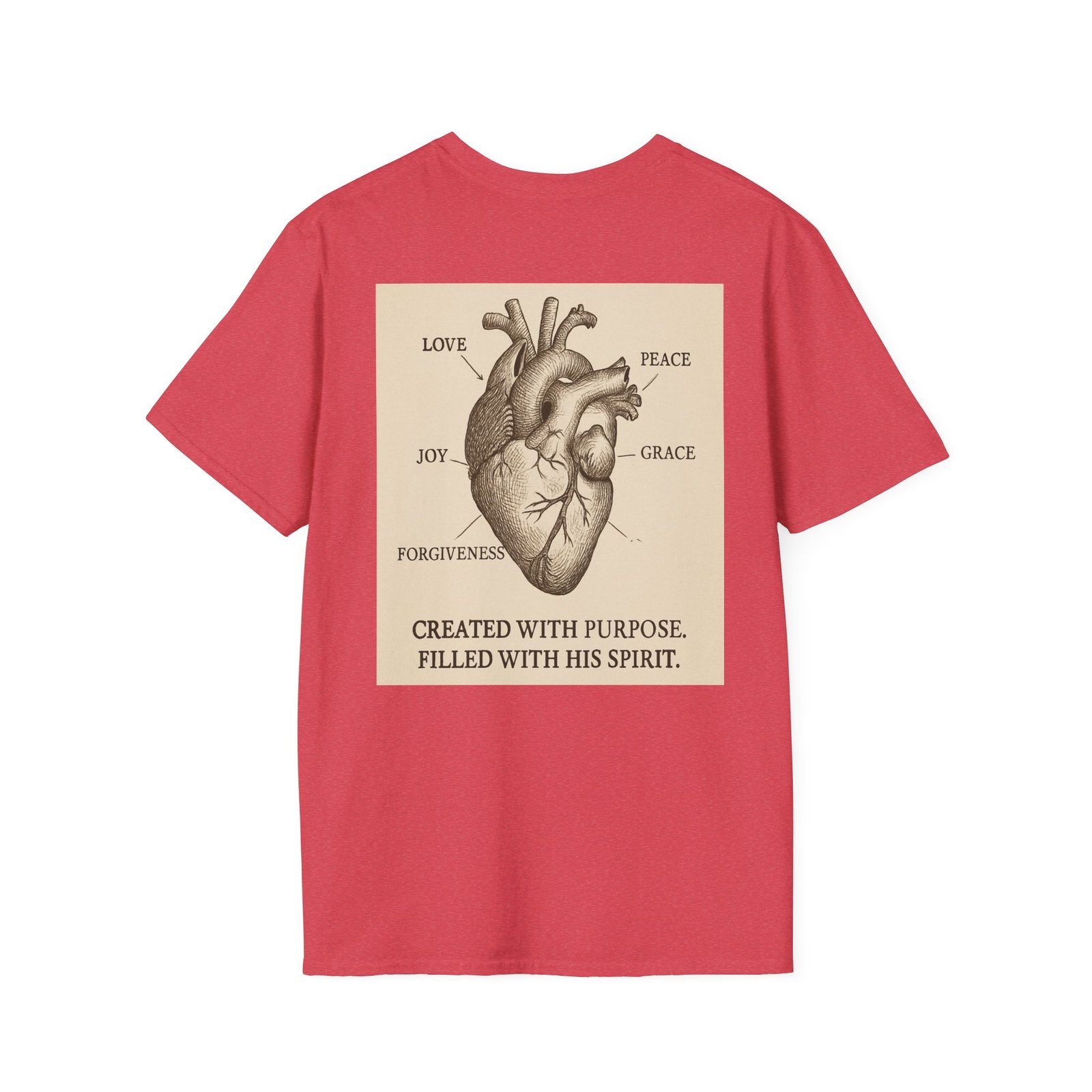 Faith Anatomy Diagram - Image 54