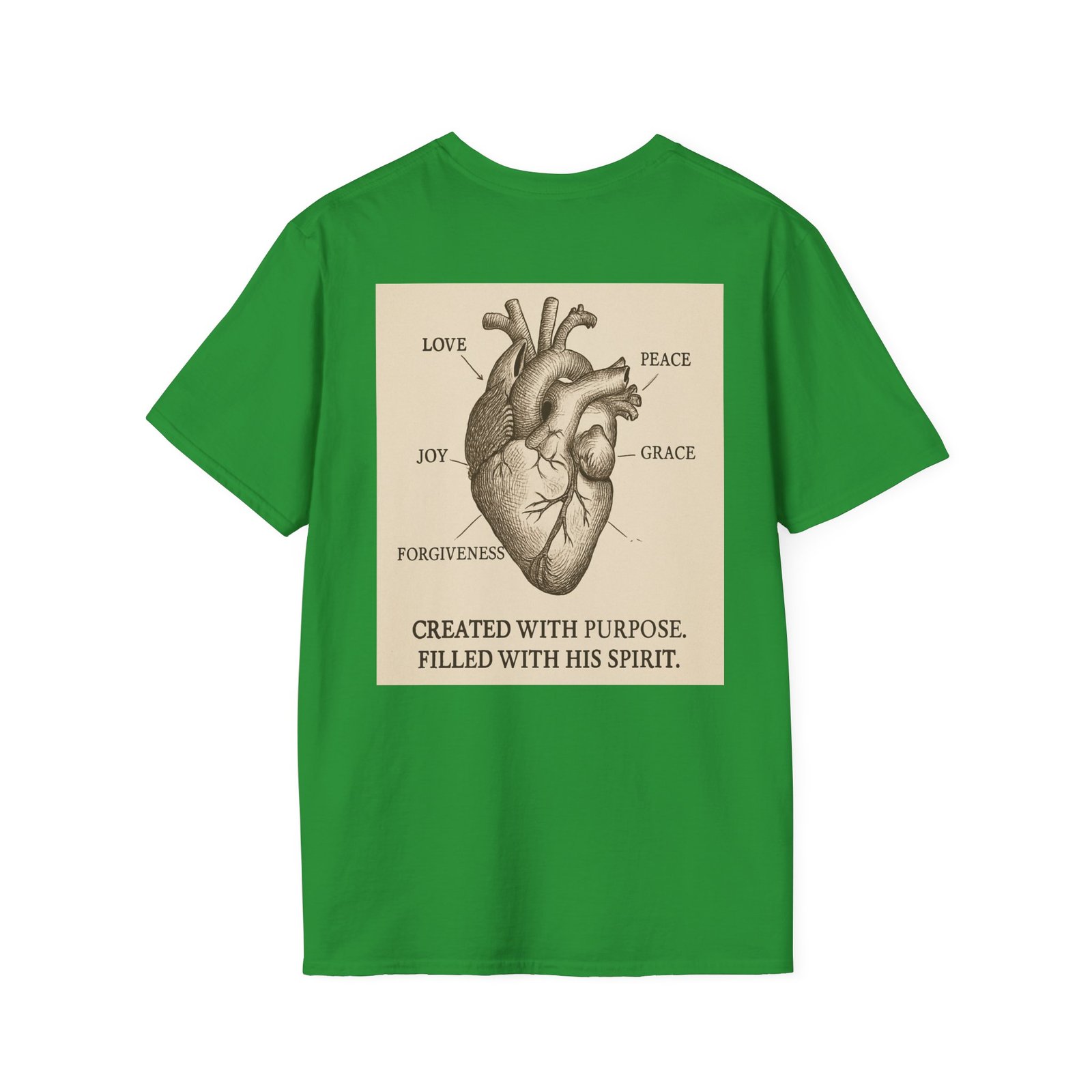 Faith Anatomy Diagram - Image 30