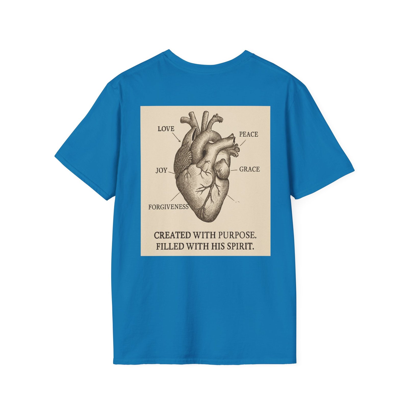 Faith Anatomy Diagram - Image 46