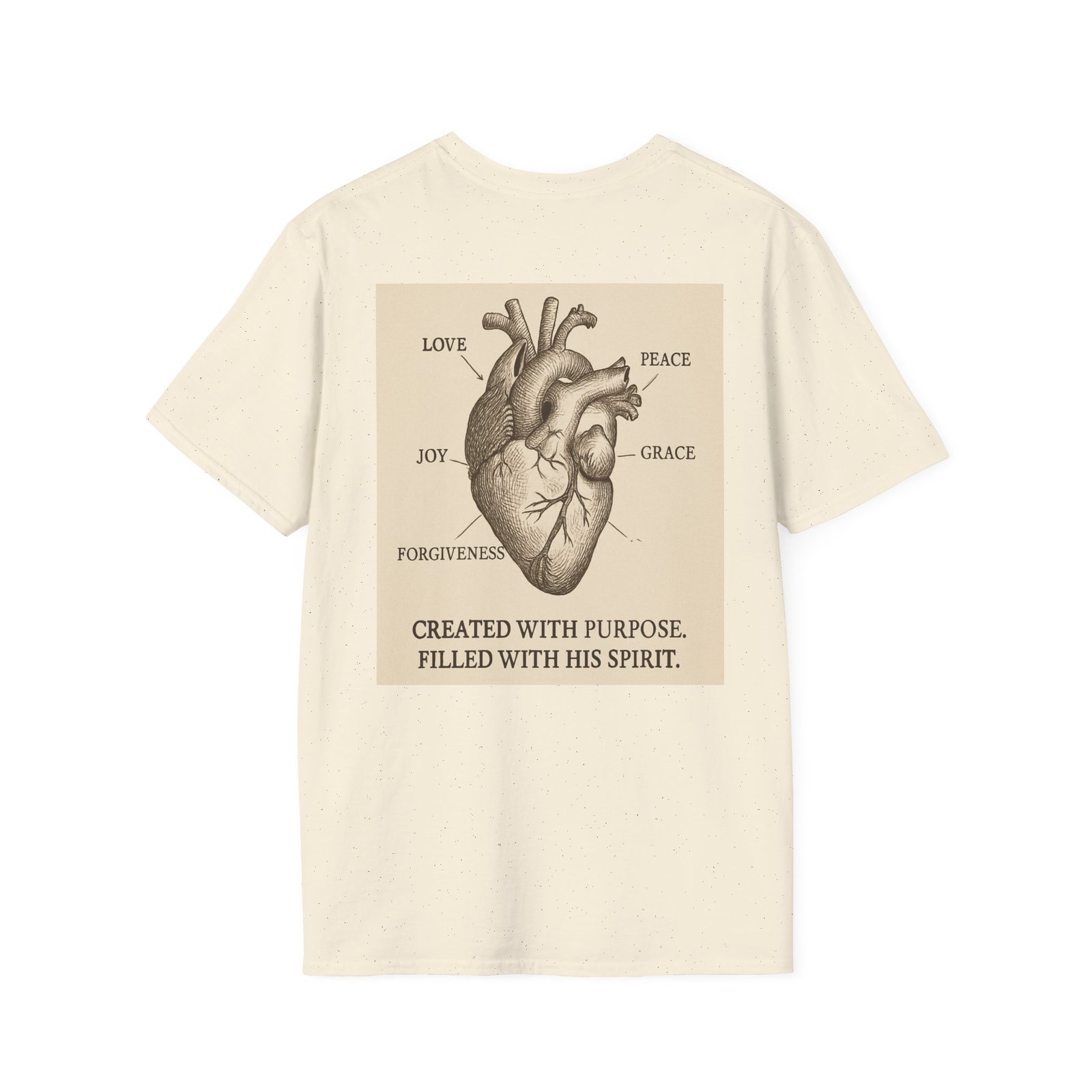 Faith Anatomy Diagram