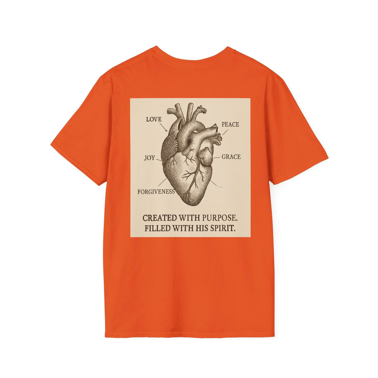 Faith Anatomy Diagram - Image 18